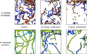 Getting four treatments per year effectively wood boring beetles cost $1,500 to $5,000 to treat. Pesticides And Earthworms A Review Springerlink