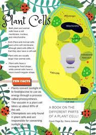 Maybe you would like to learn more about one of these? Plant Cells 4th Period By Mrdellamalva Issuu