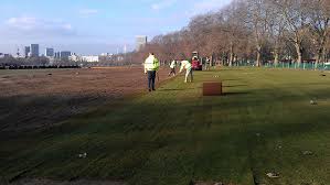 Maybe you would like to learn more about one of these? Spring Restoration Underway In Hyde Park The Royal Parks