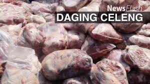 Shutterstock/stockcreations ilustrasi daging celeng atau babi hutan. Berita Daging Celeng Hari Ini Kabar Terbaru Terkini Liputan6 Com