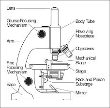 Parts Of A Microscope Microscope Parts Science Diagrams