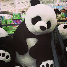I Want This Giant Panda Costco Cartoon Girl Drawing Girl Cartoon Cartoon