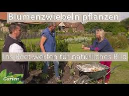 Blumenzwiebeln Pflanzen Aufs Beet Werfen Fur Naturnahe Beet Gestaltung Mdr Garten Youtube In 2020 Blumenzwiebeln Pflanzen Blumenzwiebeln Mdr Garten