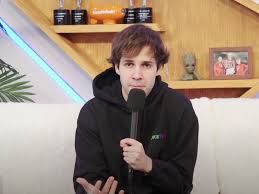 Let's have a look at his family and personal life including girlfriends, age, net worth and fun facts. David Dobrik Apology Video Says Consent Is Super Important