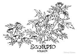 Floral Constellation Scorpio By Solveig Dubeau Scorpio Constellation Tattoos Aquarius Constellation Tattoo Constellation Tattoos