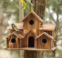 Amazon.com: iFCOW Casas de madera para pájaros, casas de ...