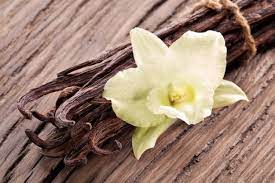 Omega Ingredients Creates 100 Natural Vanilla Alternative