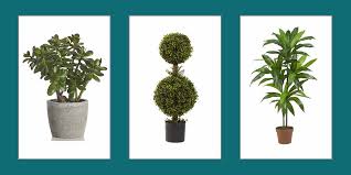 They're used because they last for several years and are very easy to dye in a wide range of. 10 Best Artificial Plants Stylish Fake Plants