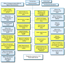 Taggs 2011 Annual Report Hhs Operating Divisions