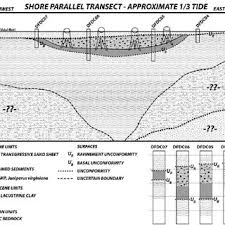 Stratigraphy Of The Duxbury Forest Site A Simplified Cross