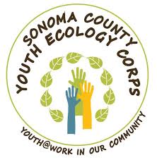 Sonoma County Youth Ecology Corps The Sonoma County Youth Ecology Corps Scyec Is A Jobs Workforce Training And Ecosystem Education Youth Work Ecology Youth