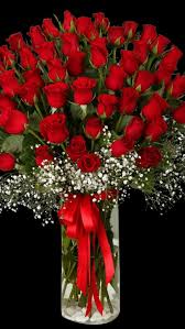 Proflowers, a leading online florist, has birthday rose bouquets and other birthday flowers at affordable prices. Untitled Rose Flower Wallpaper Valentines Flowers Birthday Flowers