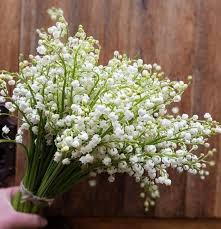 Bouquet mariée muguet bouquet printanier fleurs printemps. Brins De Muguet Chambery Bouquet De 15 Brins Cote Naturel