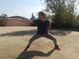Here is a sample of the path one takes while training for martial arts (zhandouli) in the jiulong system. About Us Traditional Kung Fu And Tai Chi Weihai Kung Fu Academy