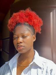 Curly crochet hairstyle in 2024