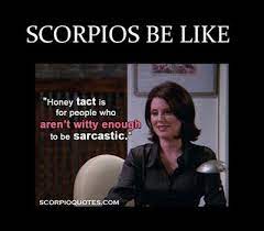 13 Scorpios Be Like Meme Scorpio Scorpio Meme Scorpio Funny
