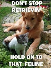 Pinterest Dog Puns Funny Animals Animal Puns