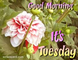 images?q=tbn:ANd9GcSGKAry608PGKJqRm-Z2PX1_9Kj7dxD1TRnNFbfK4jRTZI3YEB2uw