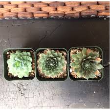 Pin On Sculptural Coal Furniture Design