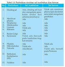 Perbedaan ukuran sel hewan dan tumbuhan. Apa Saja 15 Bagian Sel Hewan Fungsi Bentuk Dan Senyawa