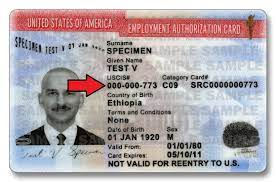 Dealing with united states citizenship and immigration services (uscis) can be tedious and complicated. Where Do I Find My Alien Registration Number Fileright