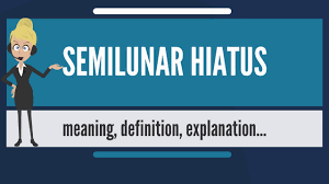 What Is Semilunar Hiatus What Does Semilunar Hiatus Mean Semilunar Hiatus Meaning Explanation Youtube