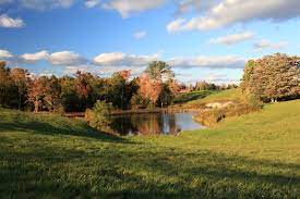 Our regular worship service is at 10 a.m. Your Guide To Farm Pond Design Countryside