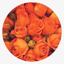 Orange Aesthetic Transparent Background Hd Png Download Transparent Png Image Pngitem 1,445 transparent png illustrations and cipart matching aesthetic. orange aesthetic transparent background
