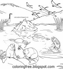 They have large, yellowish teeth that. Free Coloring Pages Printable Pictures To Color Kids Drawing Ideas Printable Canada Coloring City And Countryside Wildlife Drawings