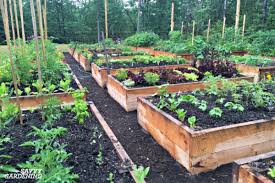 Maybe you would like to learn more about one of these? A Vegetable Garden Planner For High Yields Healthy Plants