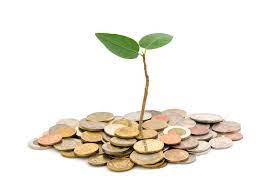 seed-capital - StartLife
