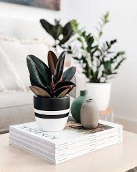 Styling Ti Decorating Coffee Tables Coffee Table Plants Coffee Table Styling