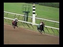 Kentucky Derby 2006 Results Barbaro