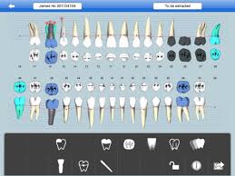 Smart Dental Chart Pro For Ipad Download Smart Dental
