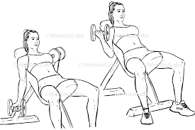 The seated dumbbell biceps curl is a popular exercise for building bigger biceps. Seated Alternating Incline Bench Dumbbell Curls Workoutlabs Exercise Guide