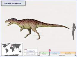 Saltriovenator By Cisiopurple Prehistoric Animals Prehistoric Creatures Animals