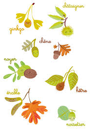 Automne Dessin Automne Automne Maternelle Activite Automne