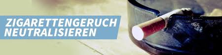 Zu hause gibt es eine vielzahl von geruchsquellen. Geruche Neutralisieren So Entfernen Sie Geruche Erfolgreich