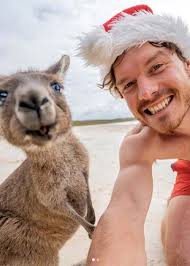 This Irish lad takes the absolute best selfies with animals