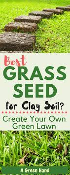 Which Is The Best Grass Seed For Clay Soil Create Your Very Own Green Lawn Best Grass Seed Grass Seed Clay Soil
