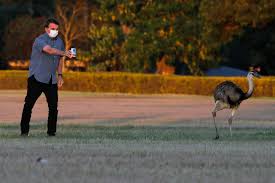 Posted by 5 minutes ago. Bolsonaro Provocou Crise Epica De Saude Publica Diz Reportagem Na Nature Poder360