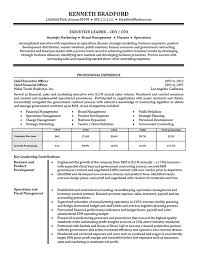 Use this example for reference as you create your own resume or use this easy resume builder that will guide you through. High Level Executive Resume Example Sample