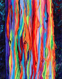 Colorful Rainbow Eucalyptus Tree Kauai