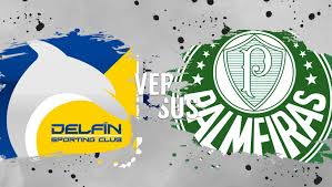 We did not find results for: Delfin X Palmeiras Veja Onde Assistir A Partida Da Copa Libertadores Da America Gazeta Esportiva