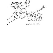 Apabila kamu ingin menanam tanaman gambar taman di rumah, maka tentukan terlebih dahulu mengetahui jenis tanaman gambar taman. Pin Oleh Neneng Sri Di Sketsa Sketsa Gambar Kartun Sketsa Hewan