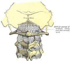 Maybe you would like to learn more about one of these? Atlanto Occipital Joint Wikipedia