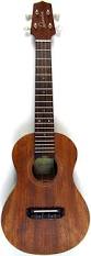 Image result for ukulele
