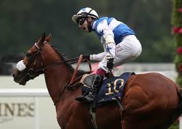 Royal Ascot: Top jockey Oisin Murphy's tribute to tragic young eventer