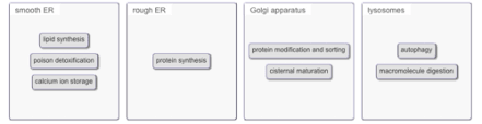 Biology Ch 6 Hw Flashcards Quizlet