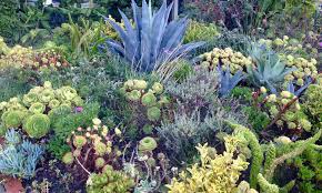 Come to a class or workshop. Xeriscape Plants 35 Drought Resistant Options Epic Gardening